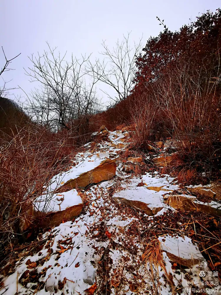 盖州小石棚洼岭